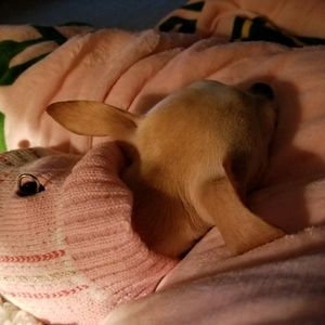 Meet your Posher, Nancy